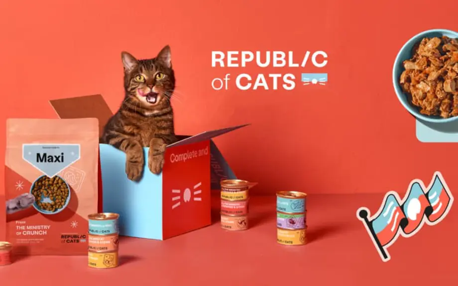 Republic of Cats